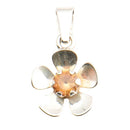 Kultasepät Salovaara -riipus • Caratia