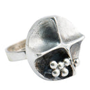 Hopeasormus • Tammen Koru • Caratia