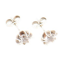 Kultasepät Salovaara korvakorut • Caratia