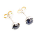 Pandora korvakorut • Caratia