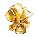 Tillander rintakoru • Lotta Orkomies • Caratia