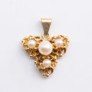 Lapponia riipus • Caratia