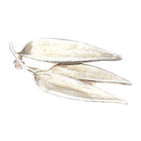 Rintakoru Flora Danica • Caratia